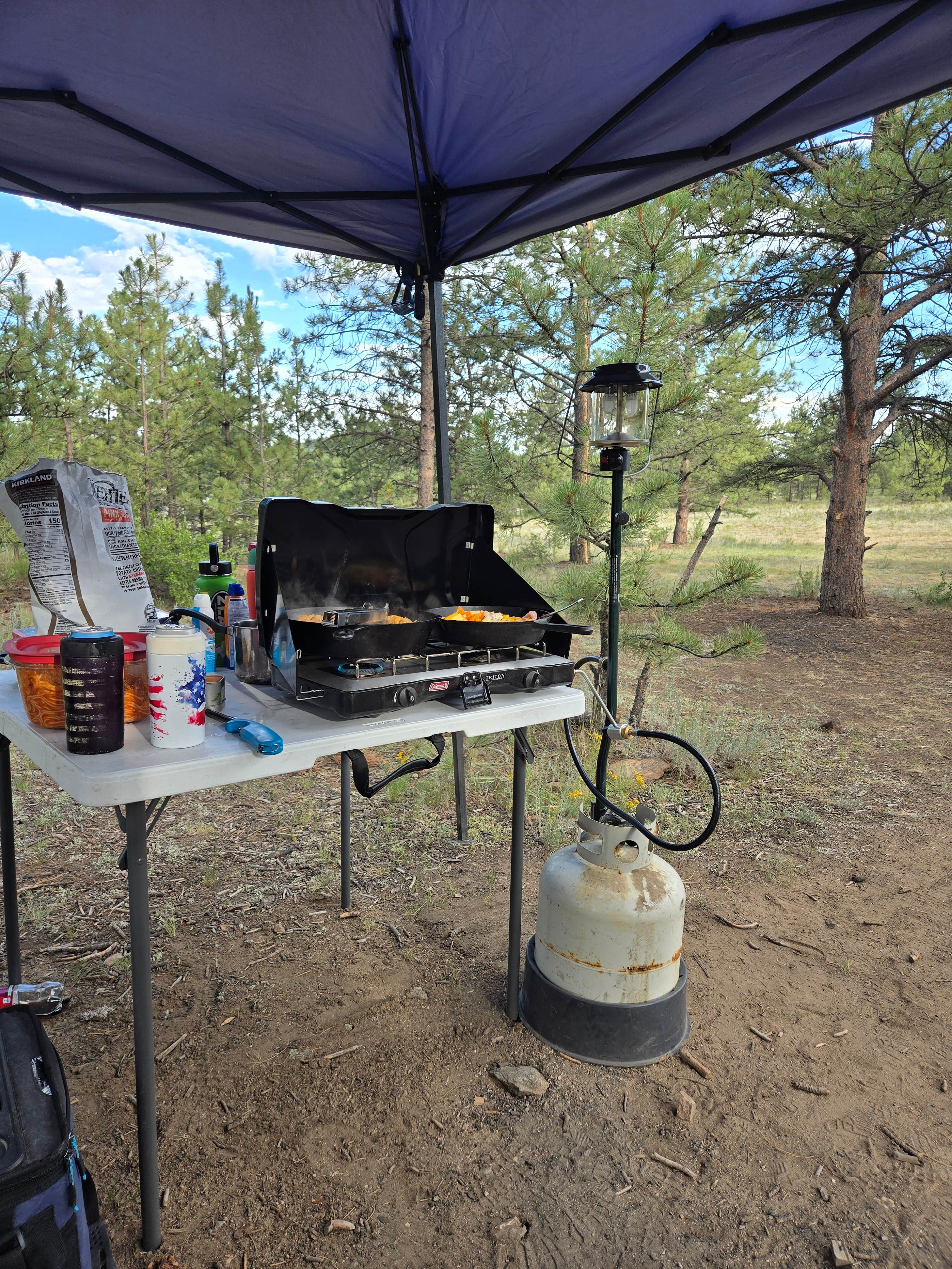 Shannon B.'s photo at Badger Flats near Hartsel, CO