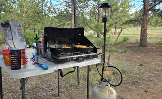 Shannon B.'s photo at Badger Flats near Hartsel, CO