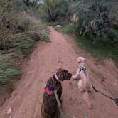 Review photo of Badger Wash by Abbigail S., October 12, 2026