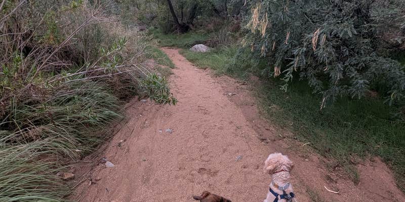 Camper submitted image from Badger Wash