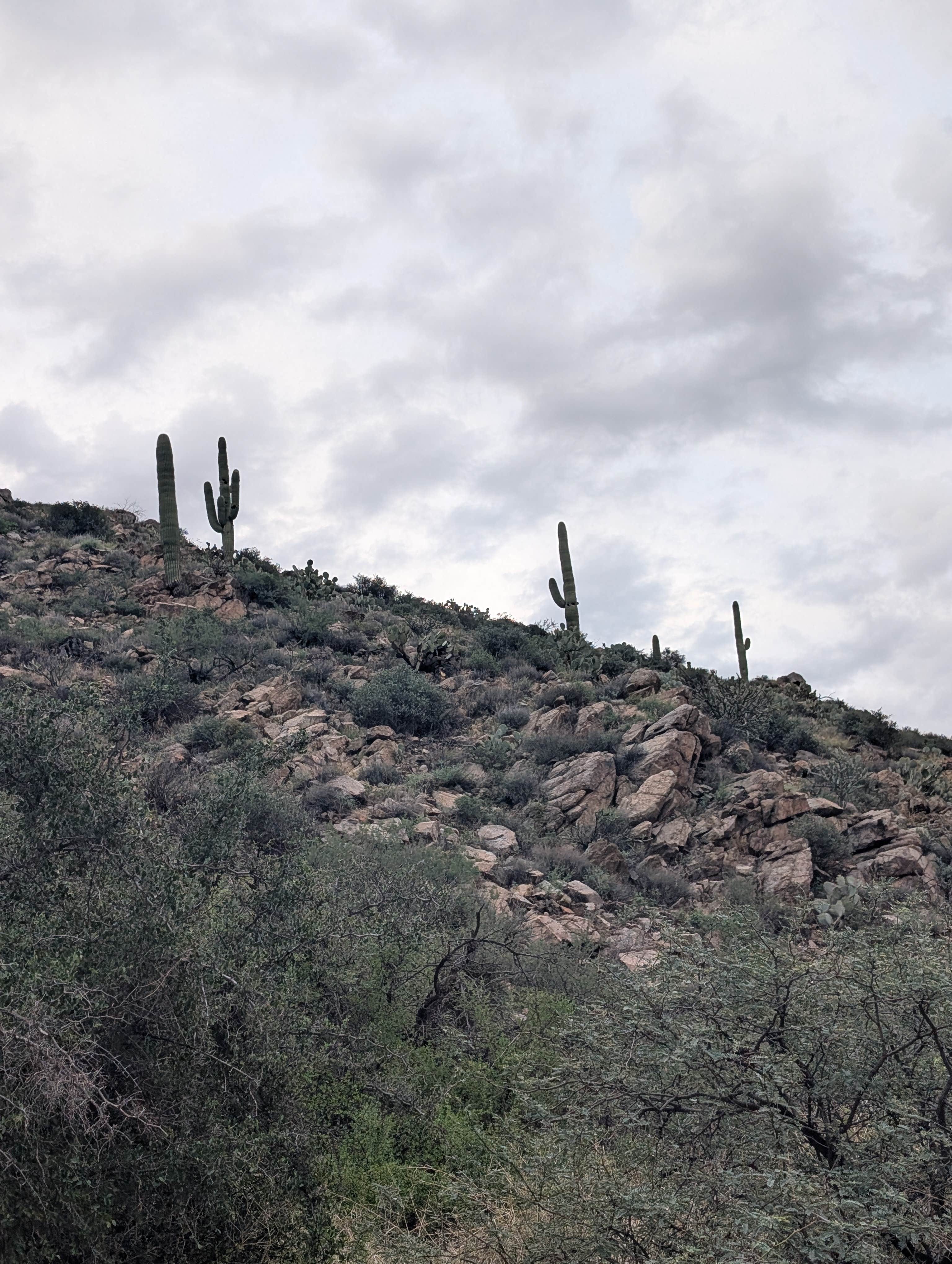 Camper-submitted photo at Badger Wash near Black Canyon City, AZ