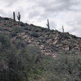 Review photo of Badger Wash by Abbigail S., October 12, 2026