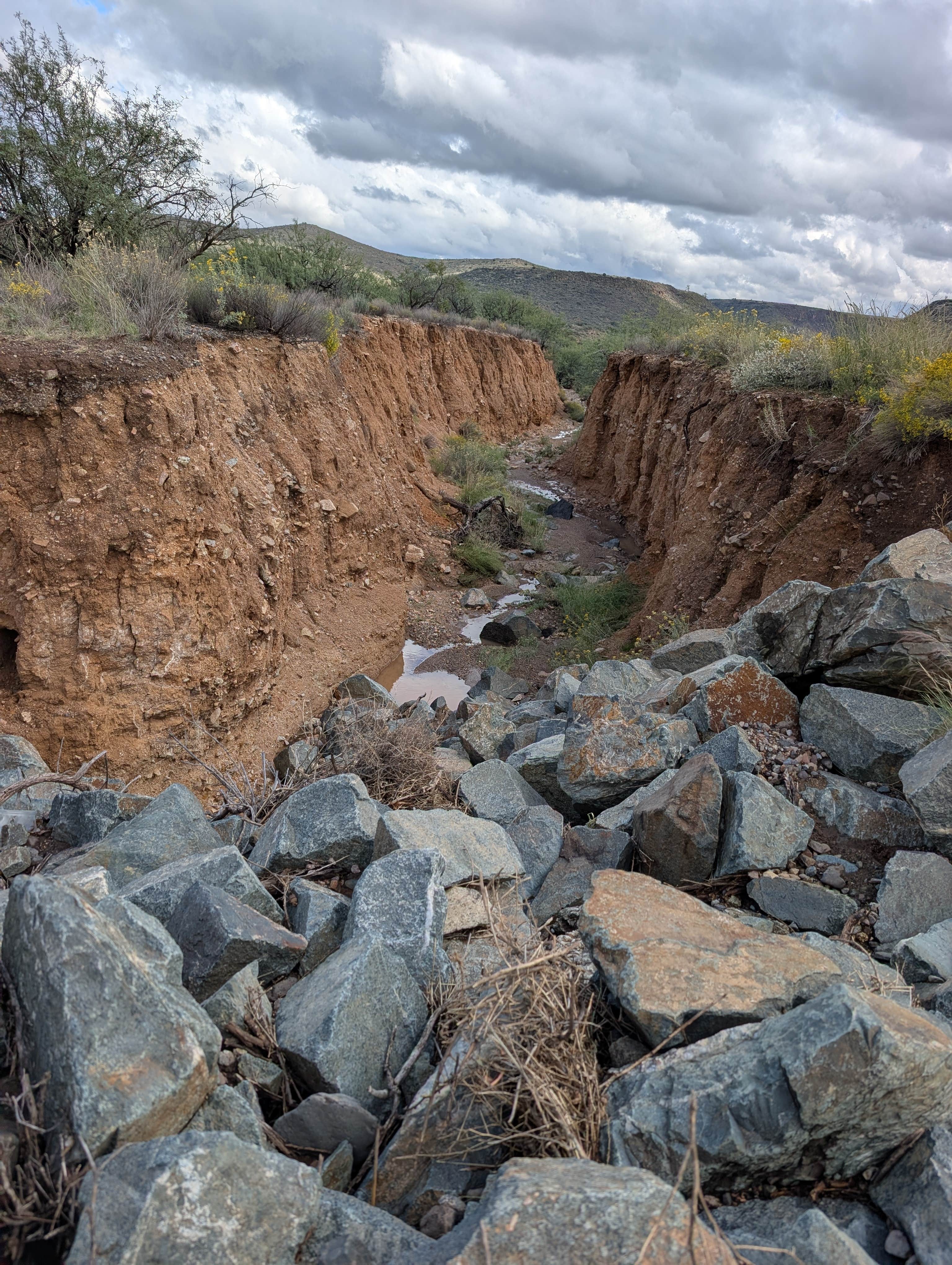 Camper-submitted photo at Badger Wash near Black Canyon City, AZ