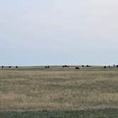 Review photo of Badlands Boondocking Area by Robin L., August 11, 2026