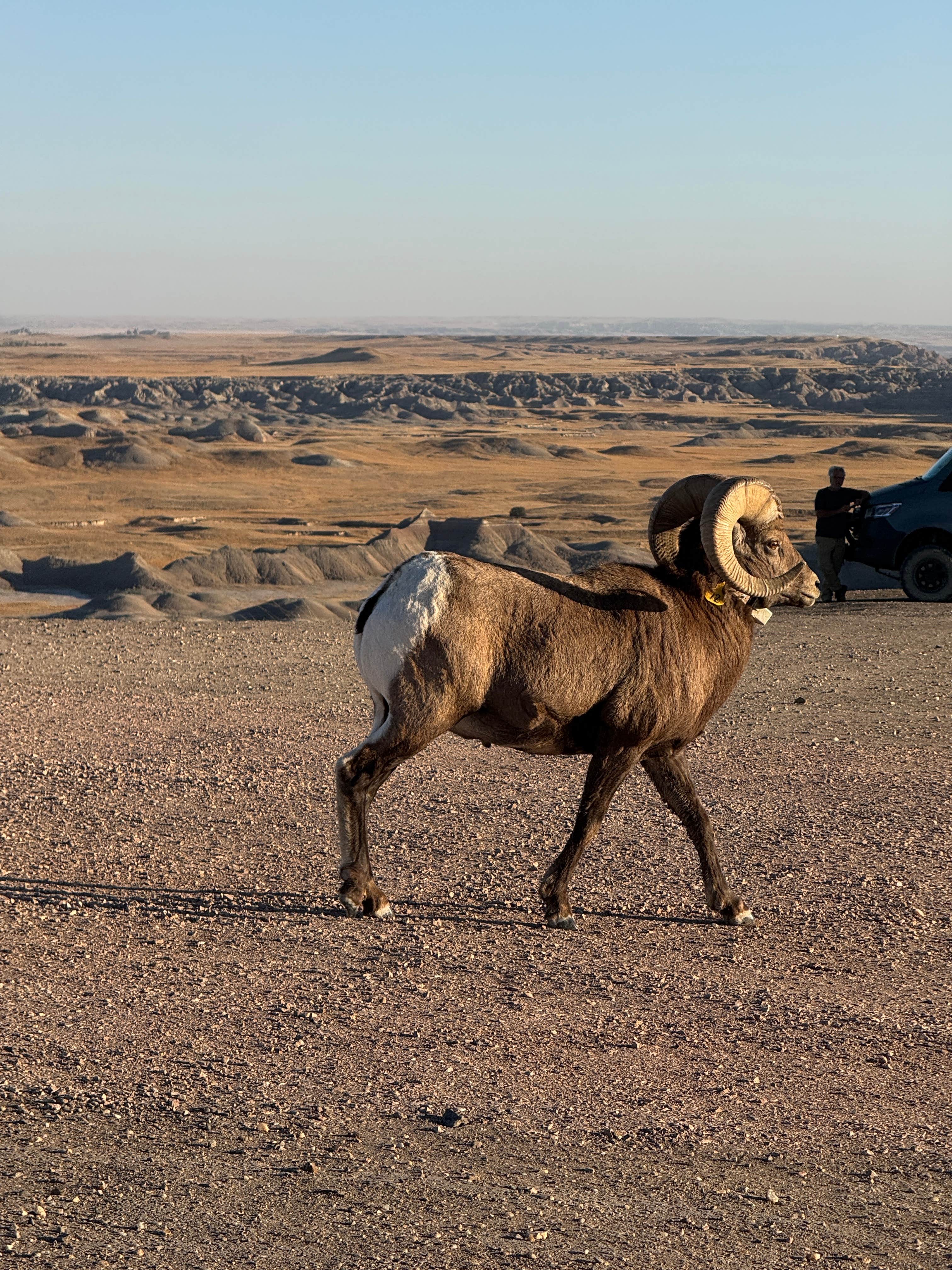 Camper-submitted photo at Badlands Boondocks near Wall, SD