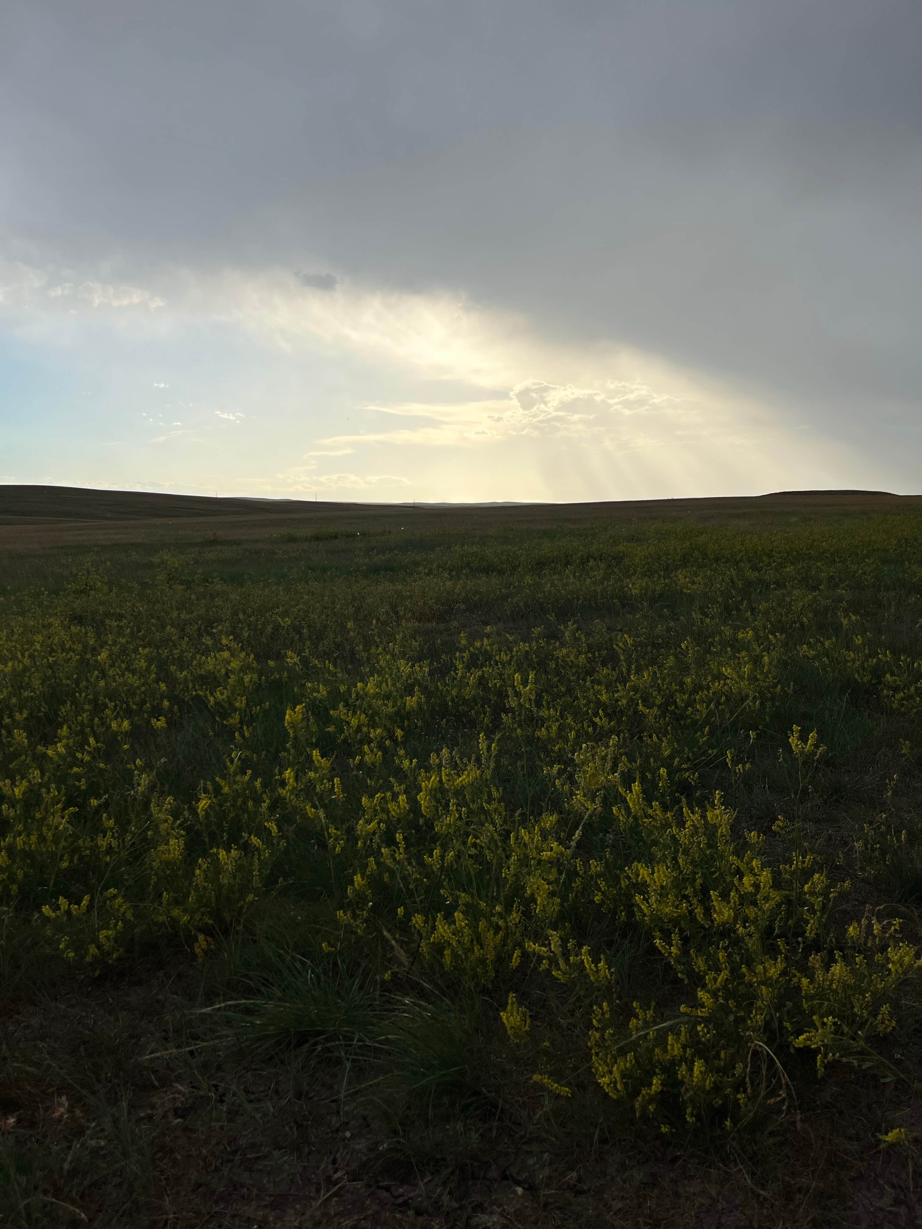 Camping near 24 Express RV Campground: Badlands Boondocks, Wall, South Dakota