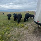Review photo of Badlands Boondocks by Ty C., June 27, 2026