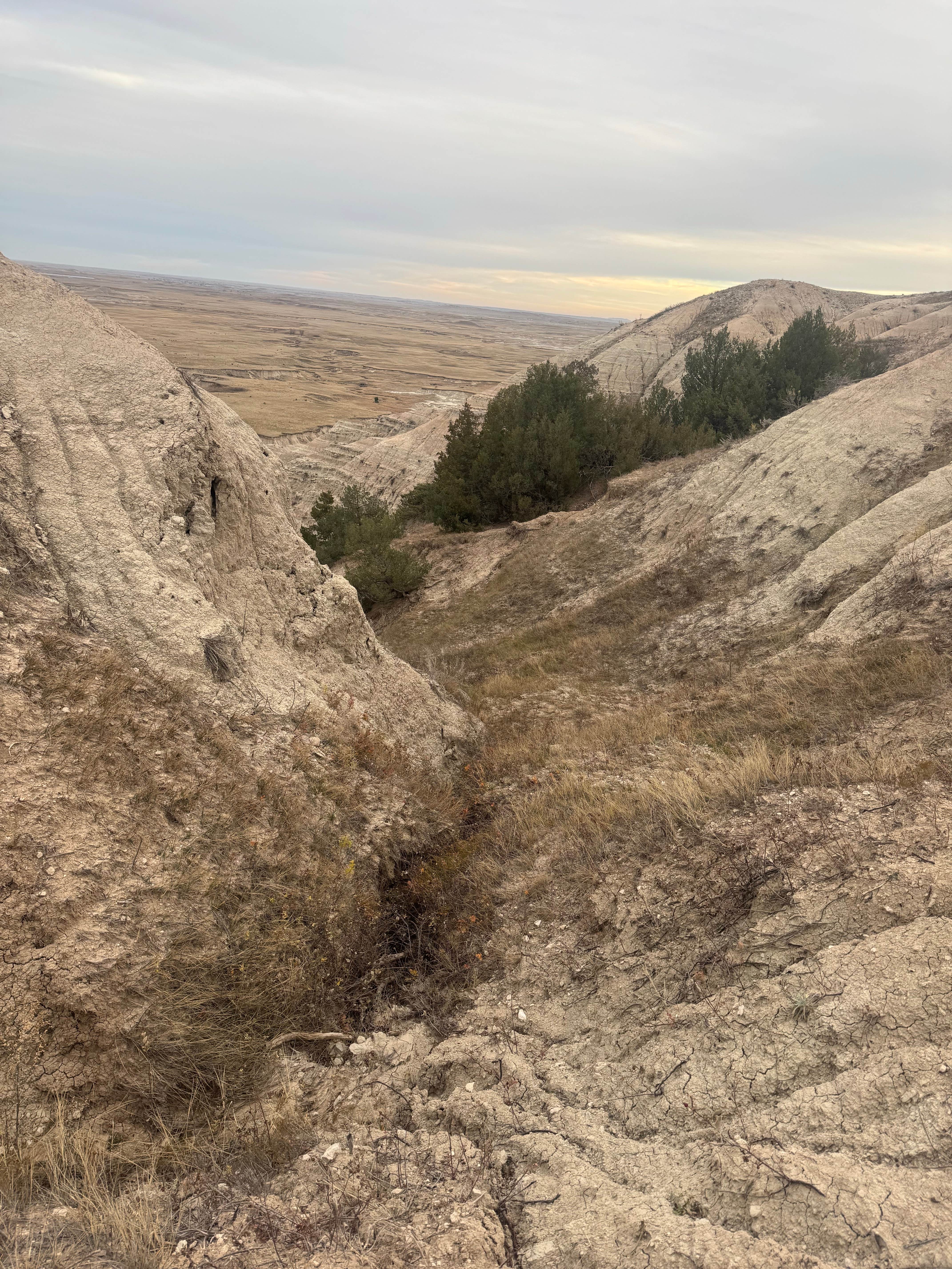 Camper-submitted photo at Badlands Dispersed Camping near Philip, SD