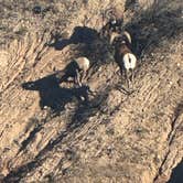 Review photo of Badlands Dispersed Camping by camping with M., November 15, 2025