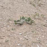 Review photo of Badlands Dispersed Camping by Angelo V., August 7, 2025