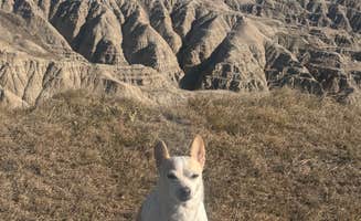 camping with M.'s photo of camping with pets at Badlands Dispersed Camping near Interior, SD