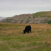 Review photo of Badlands Dispersed Camping by Kaelyn H., July 3, 2025