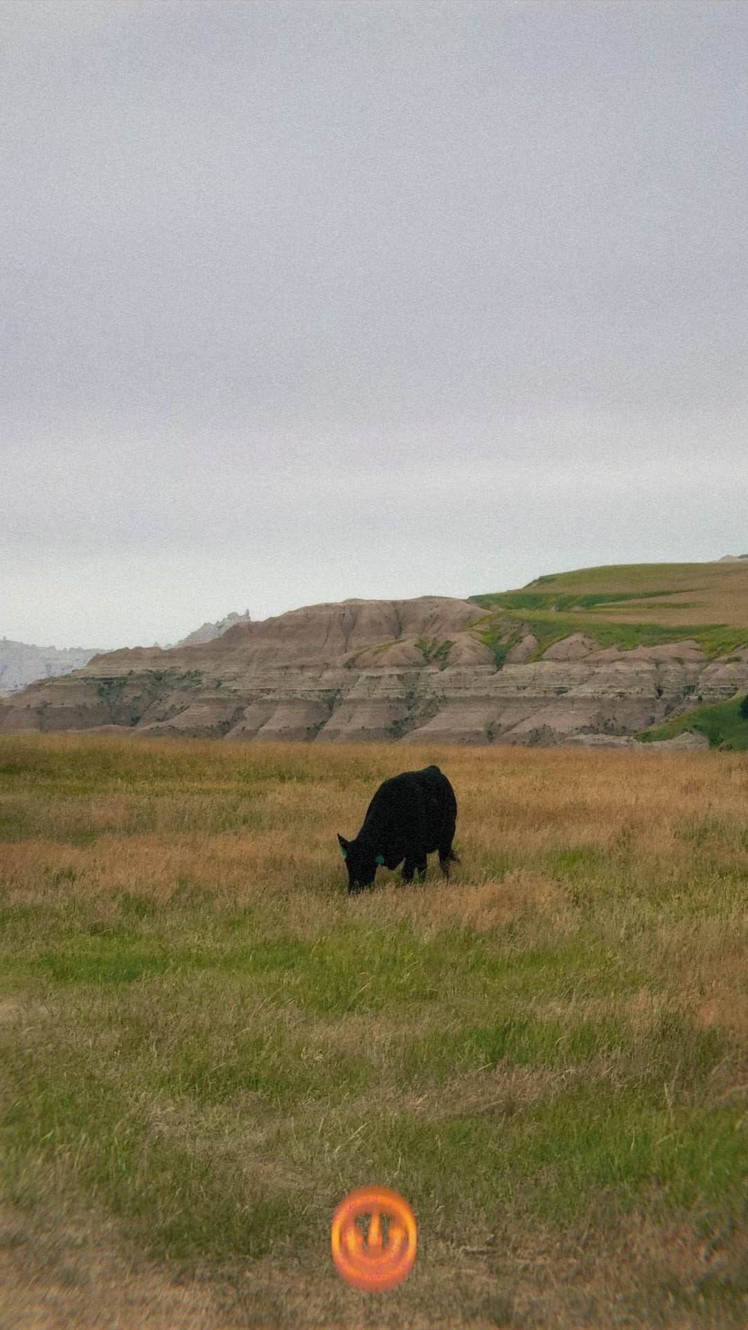 Camper submitted image from Badlands Dispersed Camping - 3