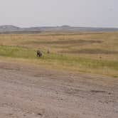 Review photo of Badlands Wall BLM by Ally H., August 18, 2026