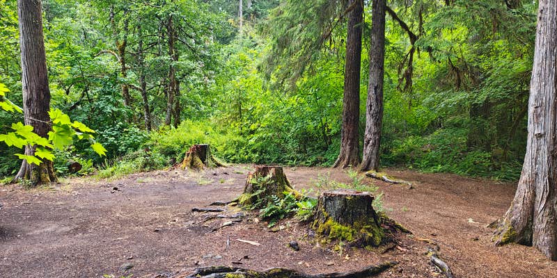 Camper submitted image from Bagby Hot Springs Campground