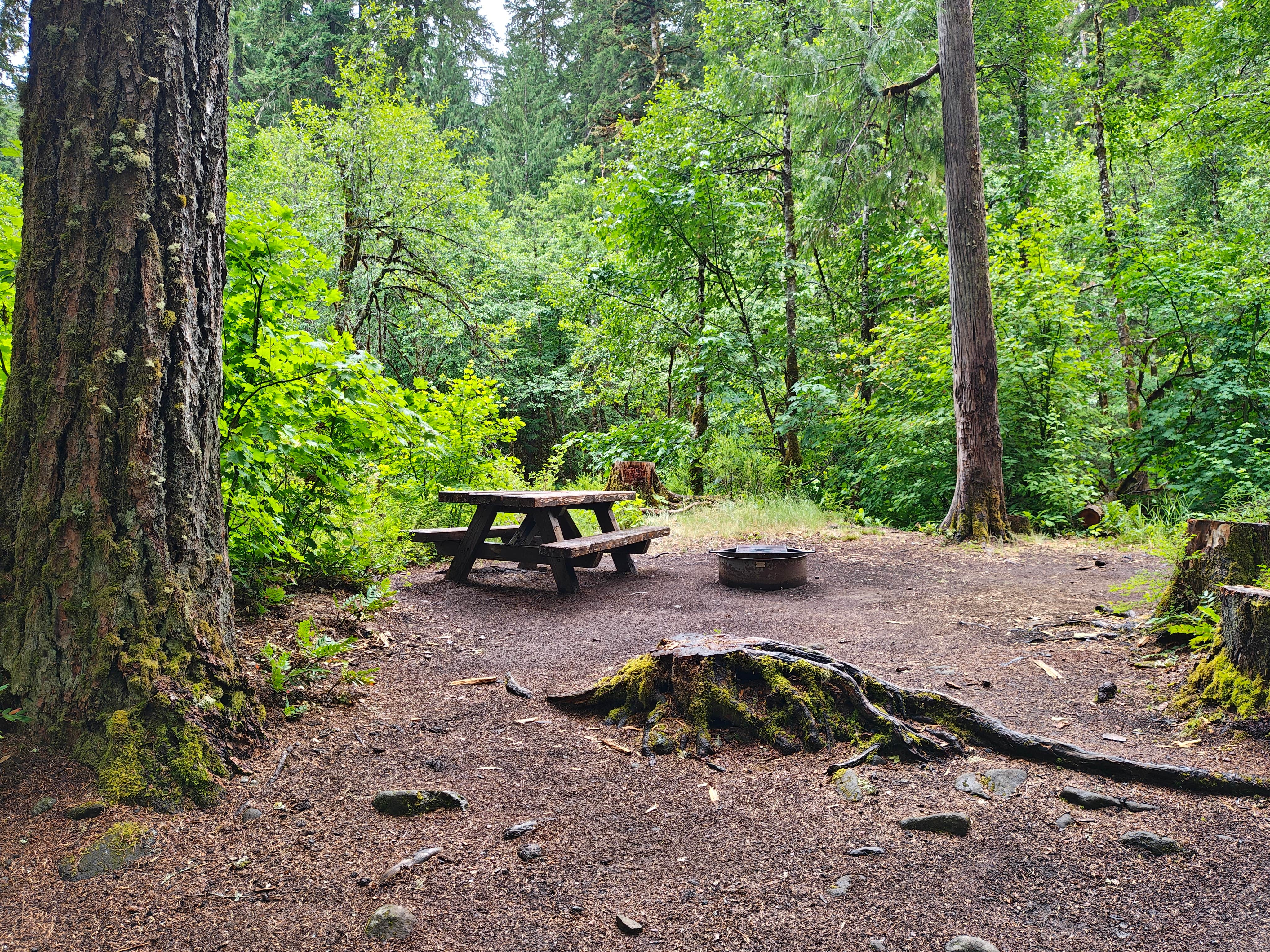 Camper-submitted photo at Bagby Hot Springs Campground near Detroit, OR