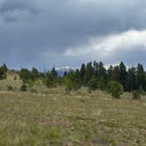 Review photo of Bailey Area Dispersed by Bella K., June 3, 2026
