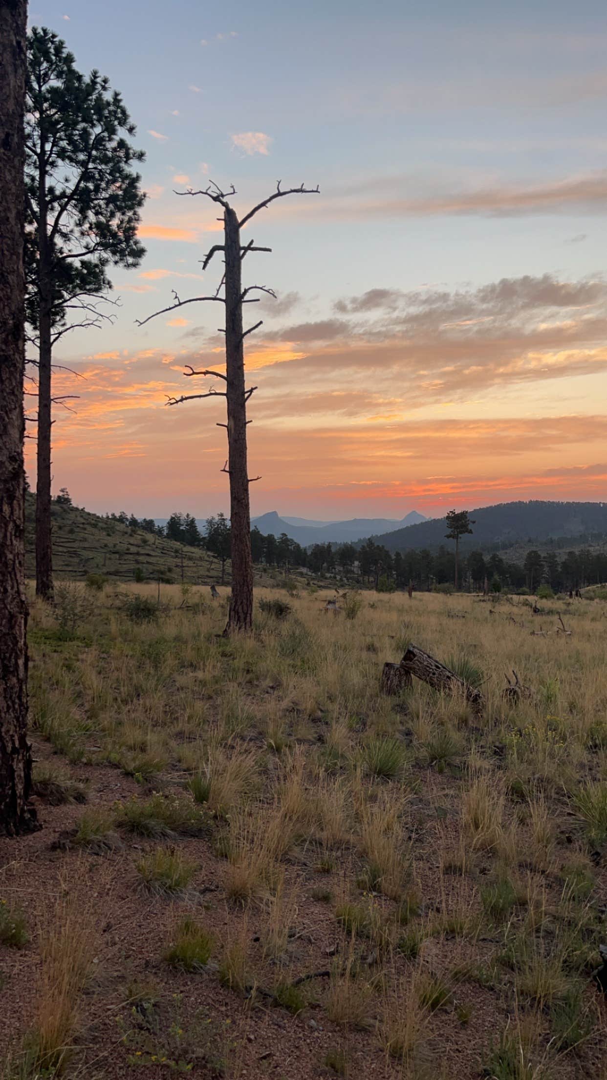 Camper-submitted photo at Bailey Area Dispersed near Watkins, CO
