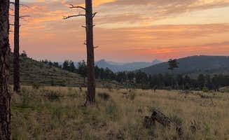 Samantha B.'s photo of a dispersed camping area at Bailey Area Dispersed near Parker, CO