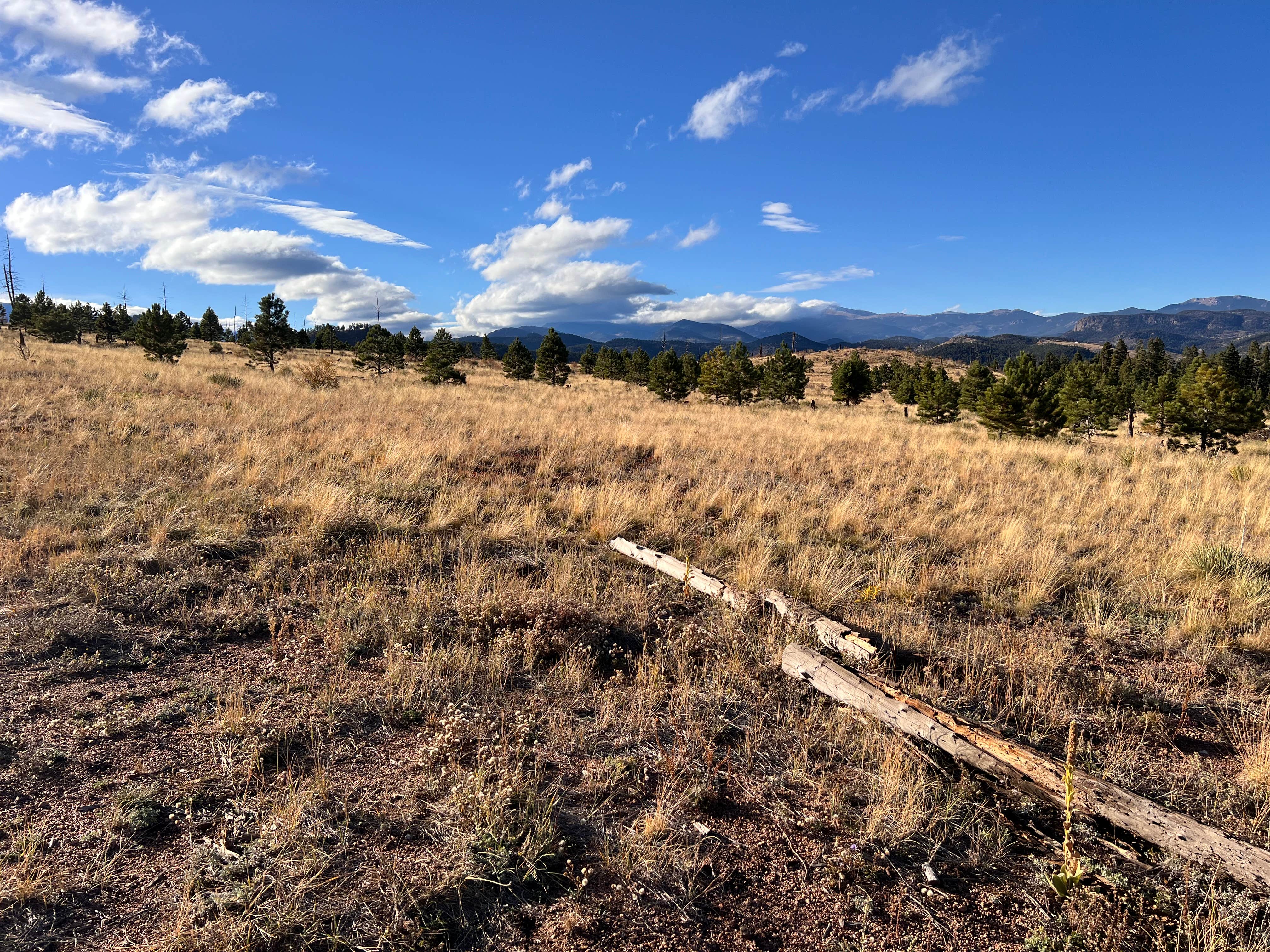 Camper-submitted photo at Bailey Area Dispersed near Watkins, CO