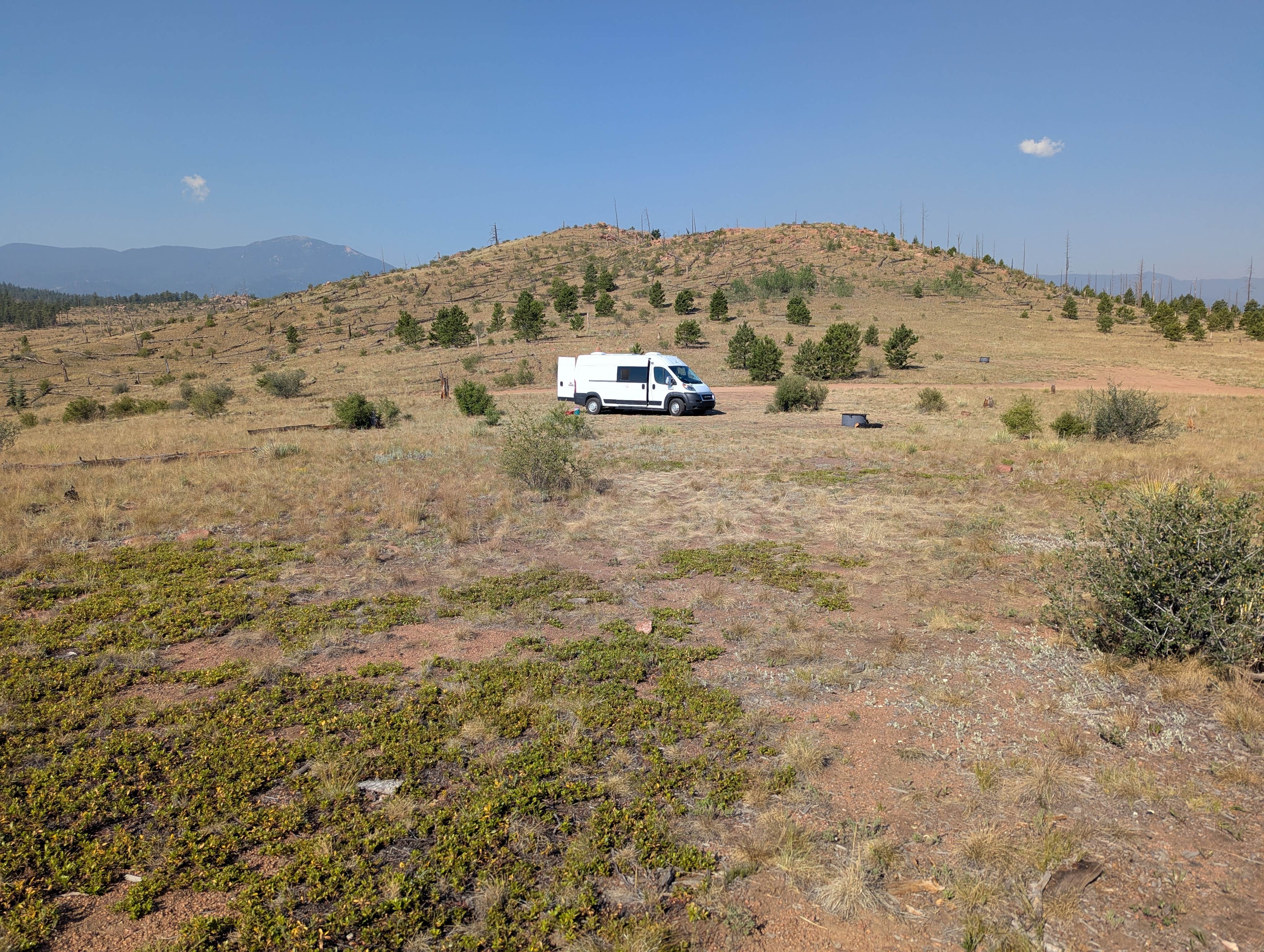 Camper-submitted photo at Bailey Area Dispersed near Buffalo Creek, CO