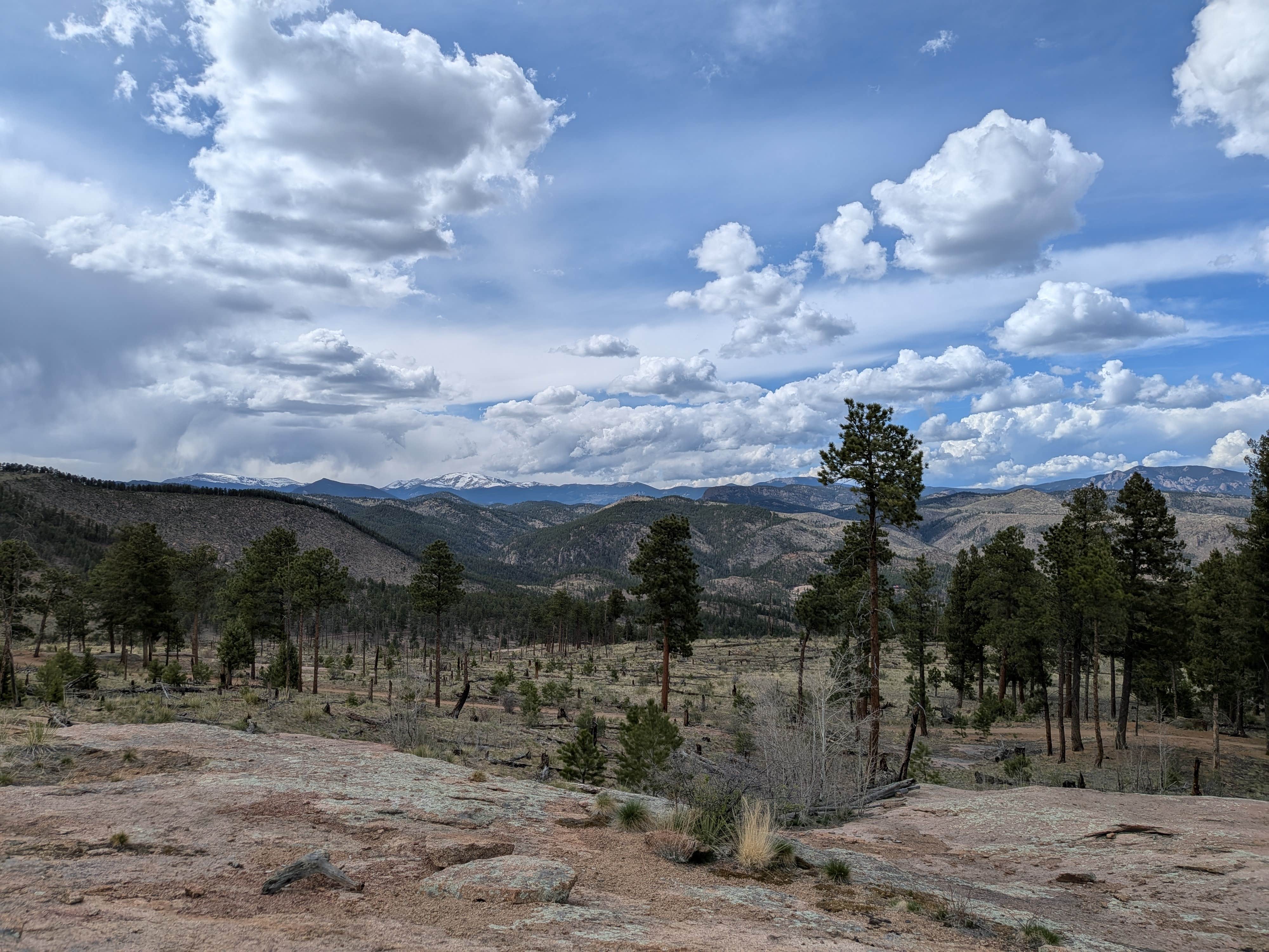 Camper-submitted photo at Bailey Area Dispersed near Watkins, CO