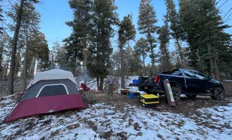 Camping near Forest Road 568 - Dispersed Camping: Bailey Canyon, Cloudcroft, New Mexico