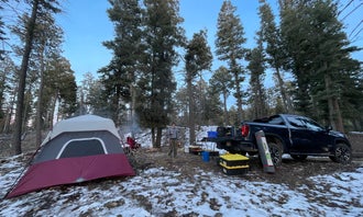 Camping near Silver Overflow Campground: Bailey Canyon, Cloudcroft, New Mexico