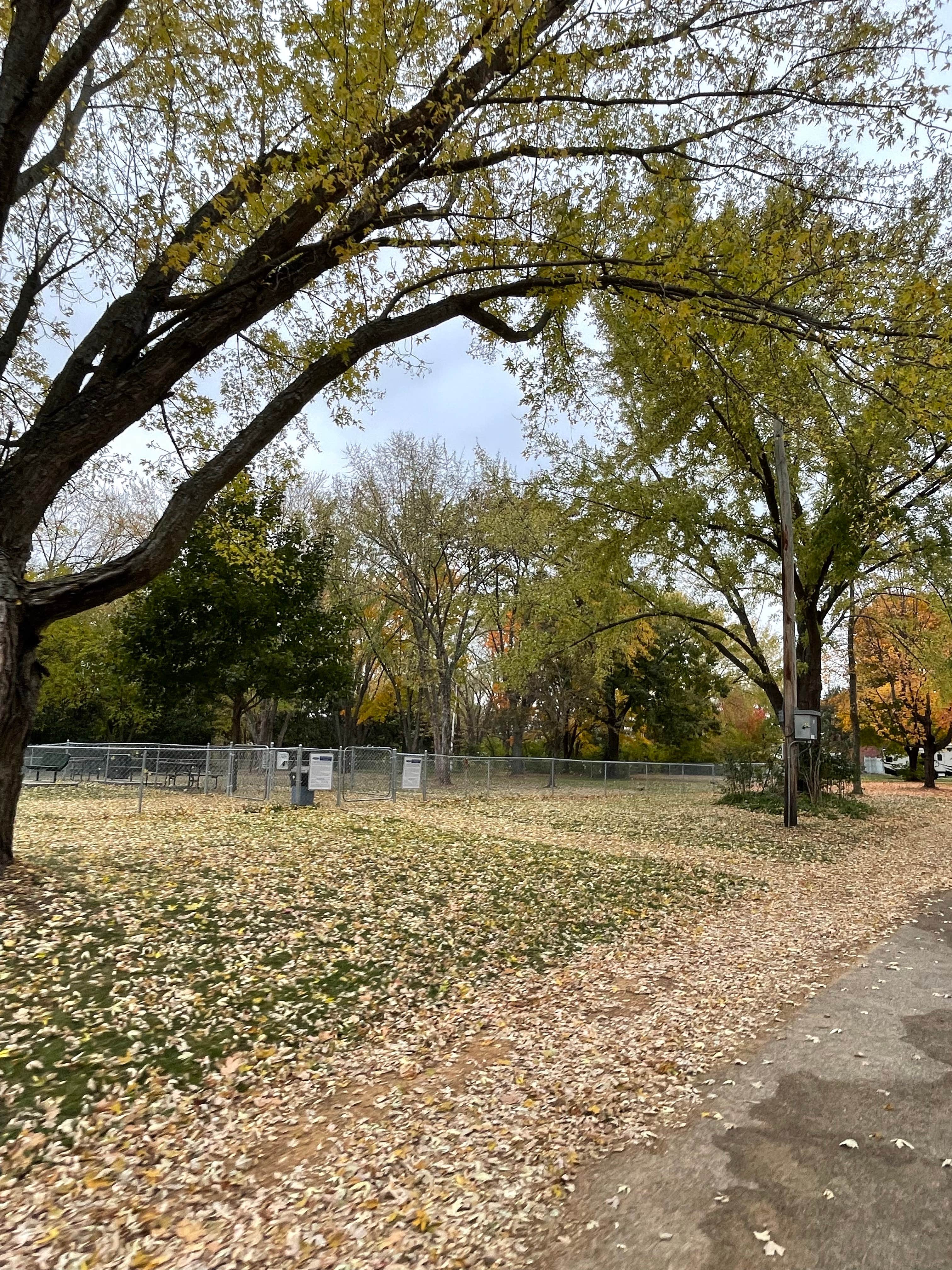 Camper submitted image from Bailey Park in Wabasha MN - 2