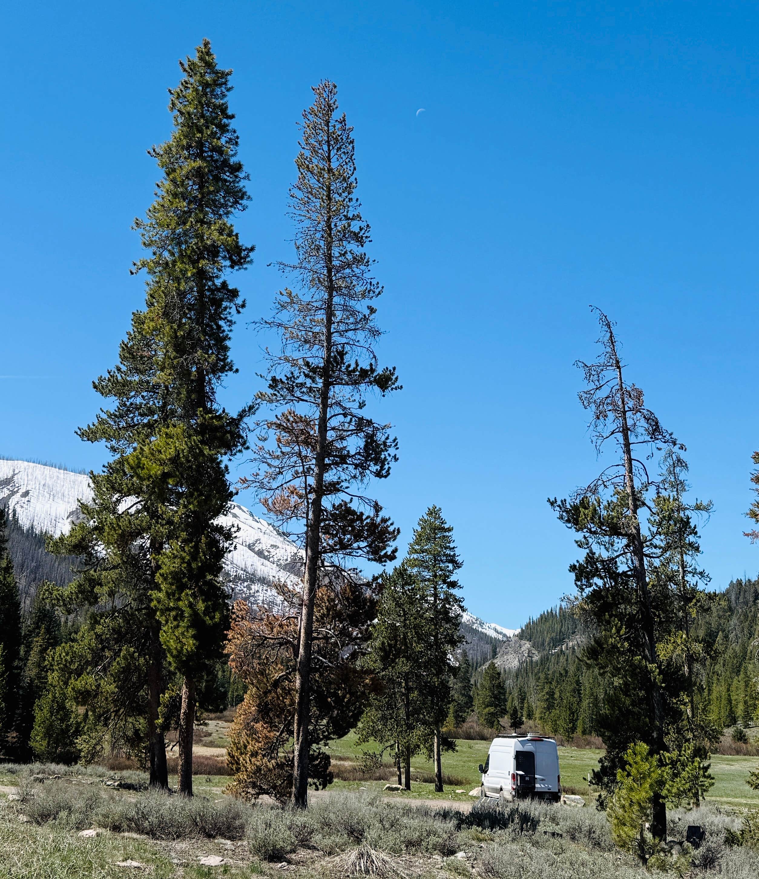 Camper-submitted photo at Baker Creek Designated Dispersed near Sun Valley, ID
