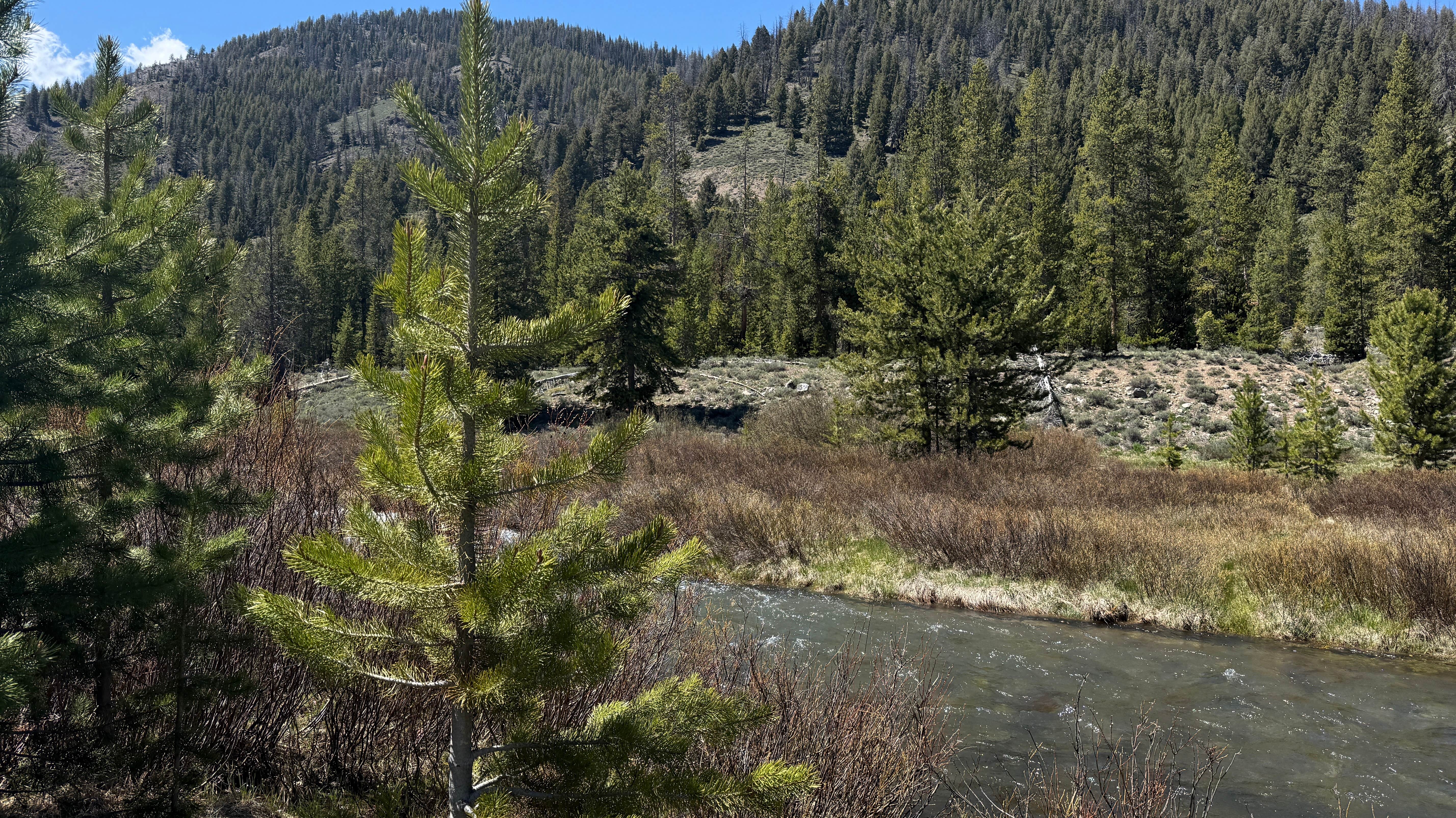 Baker Creek Designated Dispersed