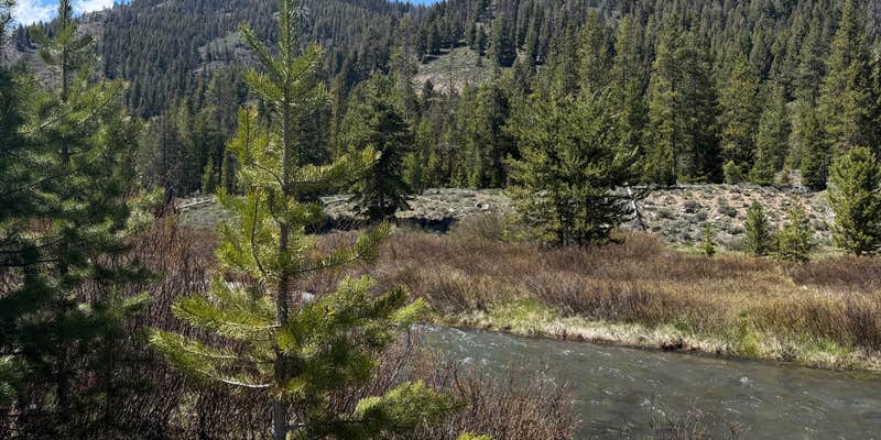 Camper submitted image from Baker Creek Designated Dispersed
