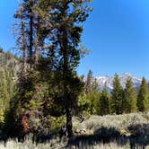 Review photo of Baker Creek Designated Dispersed by Rebecca B., May 12, 2026