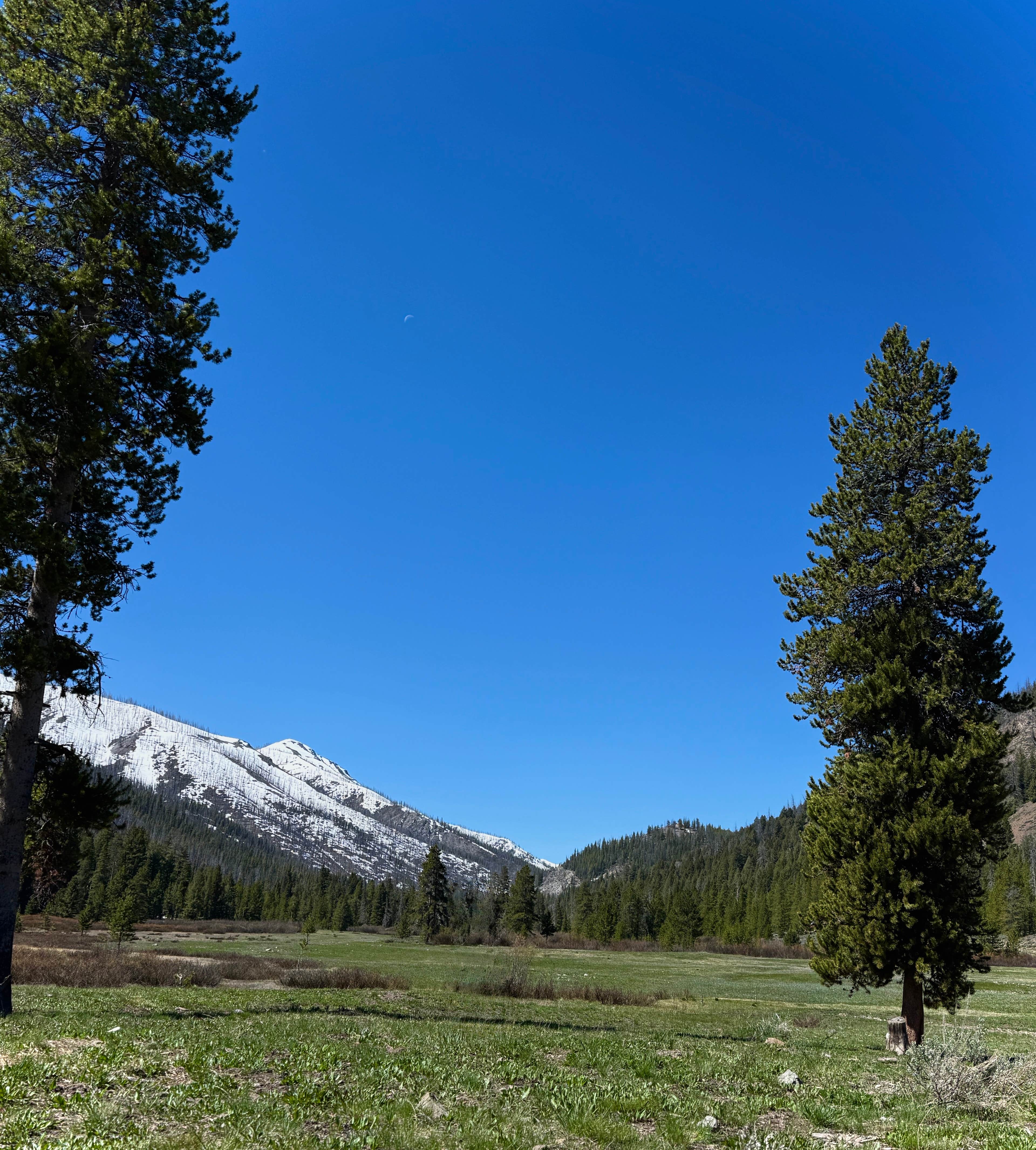 Camper-submitted photo at Baker Creek Designated Dispersed near Sun Valley, ID