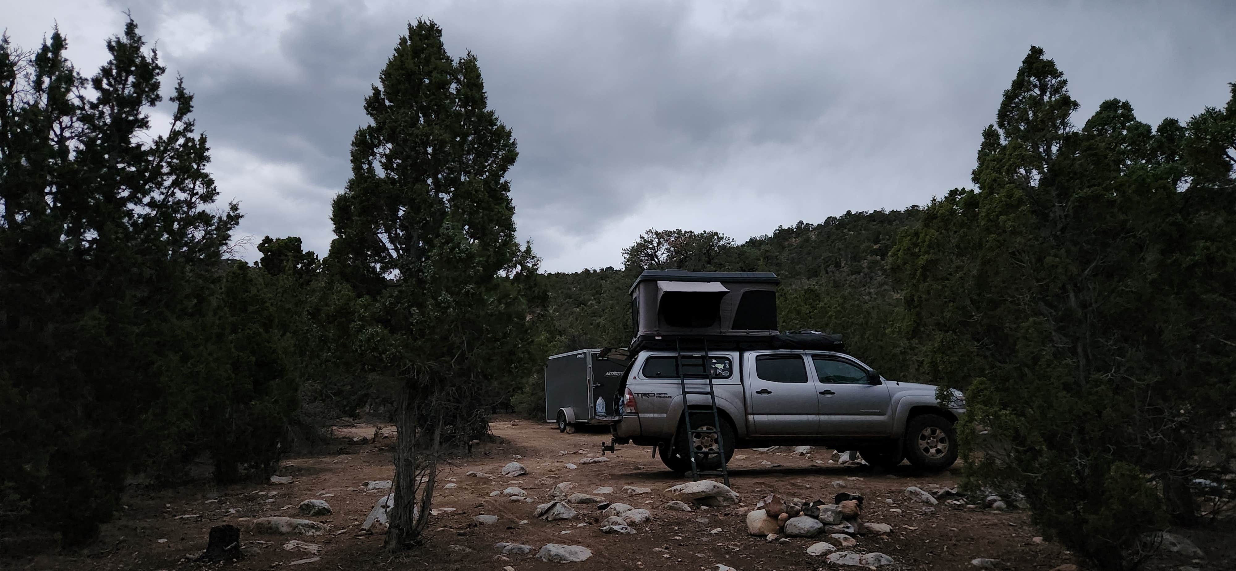 Free single NF-589 Dispersed Campsite