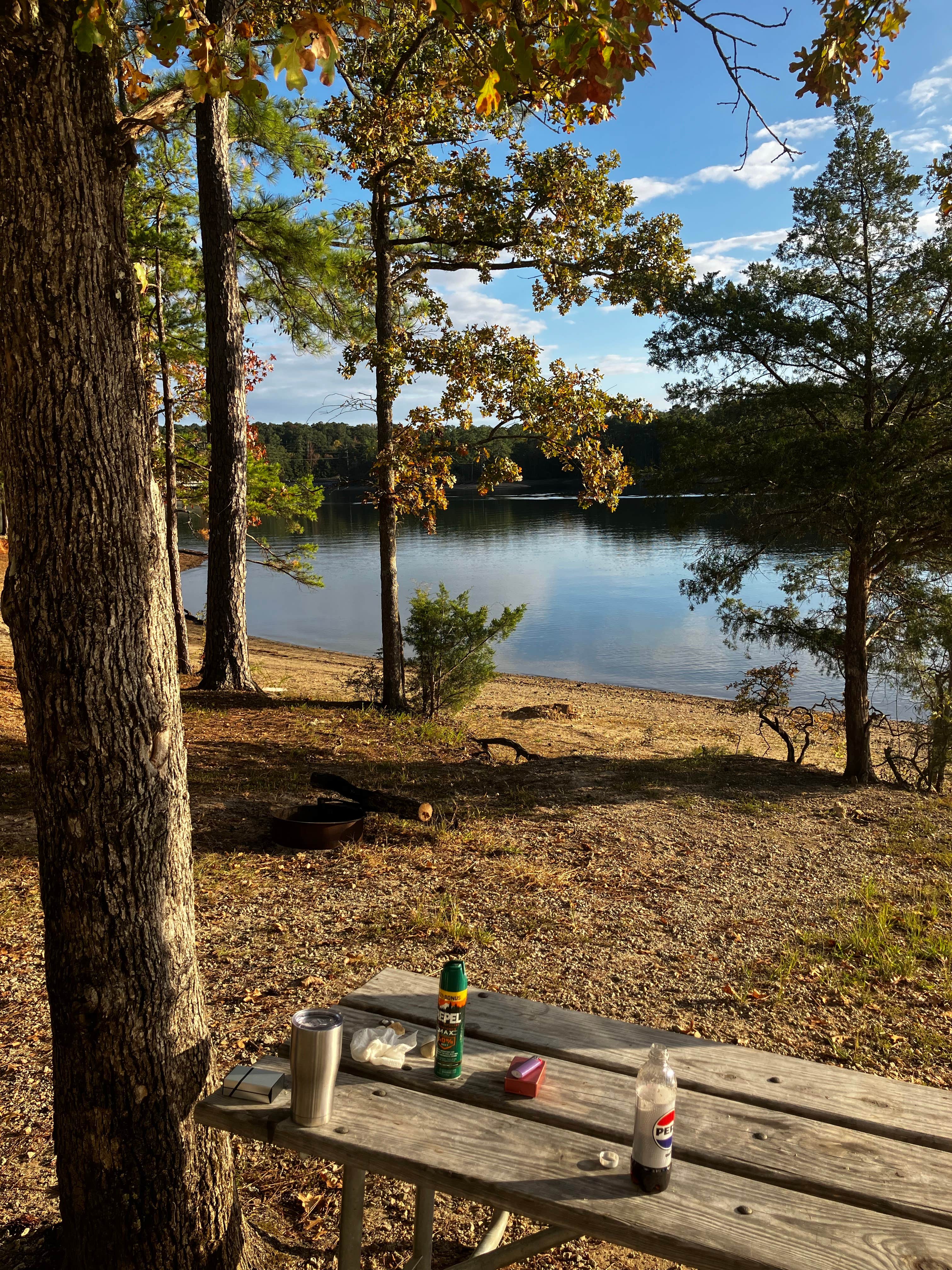 Camper-submitted photo at Baker Creek near Greenwood, SC
