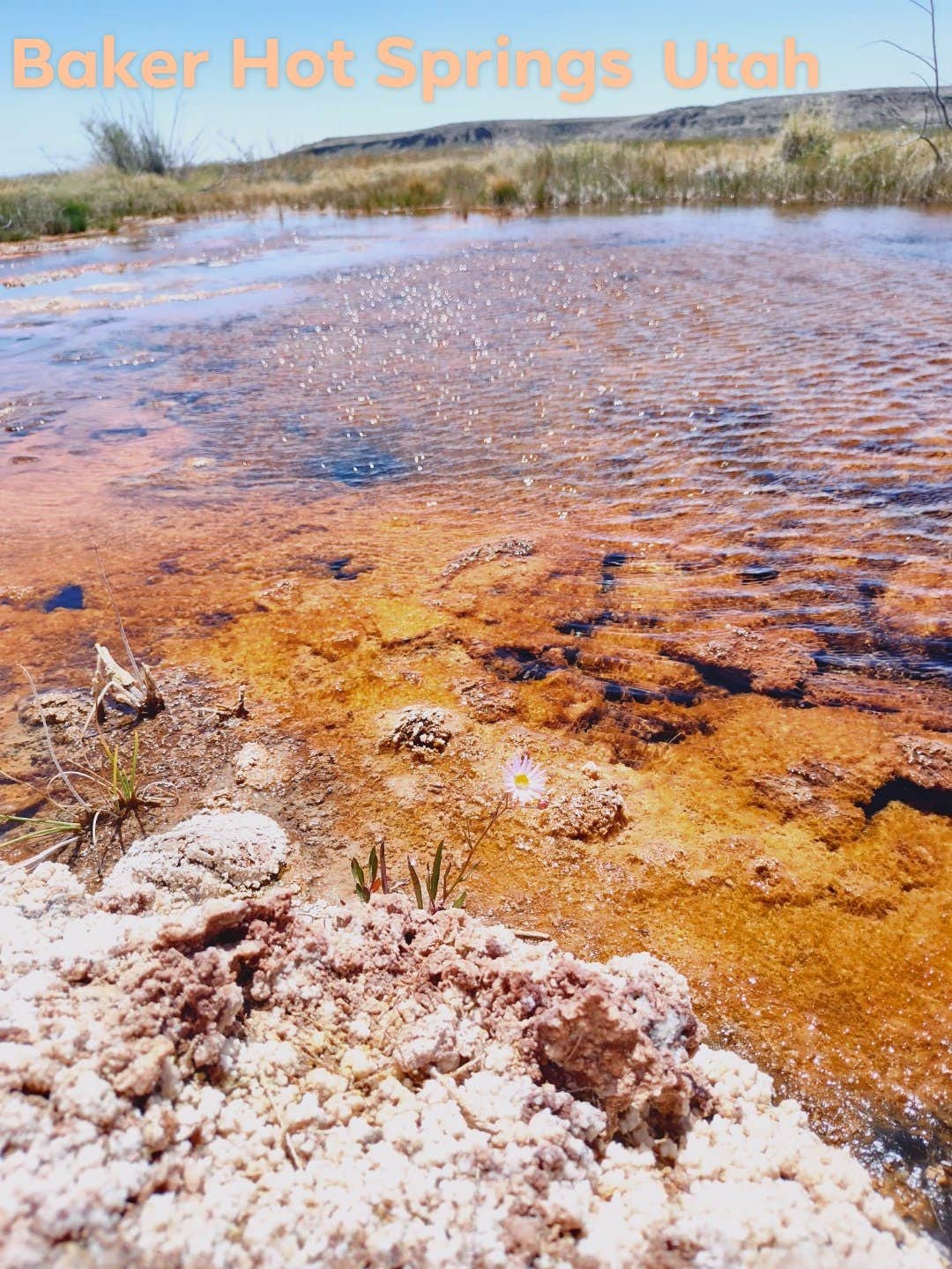 Camper-submitted photo at Baker Hot Springs Dispersed Camping near Delta, UT