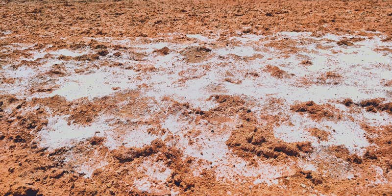 Camper submitted image from Baker Hot Springs Dispersed Camping