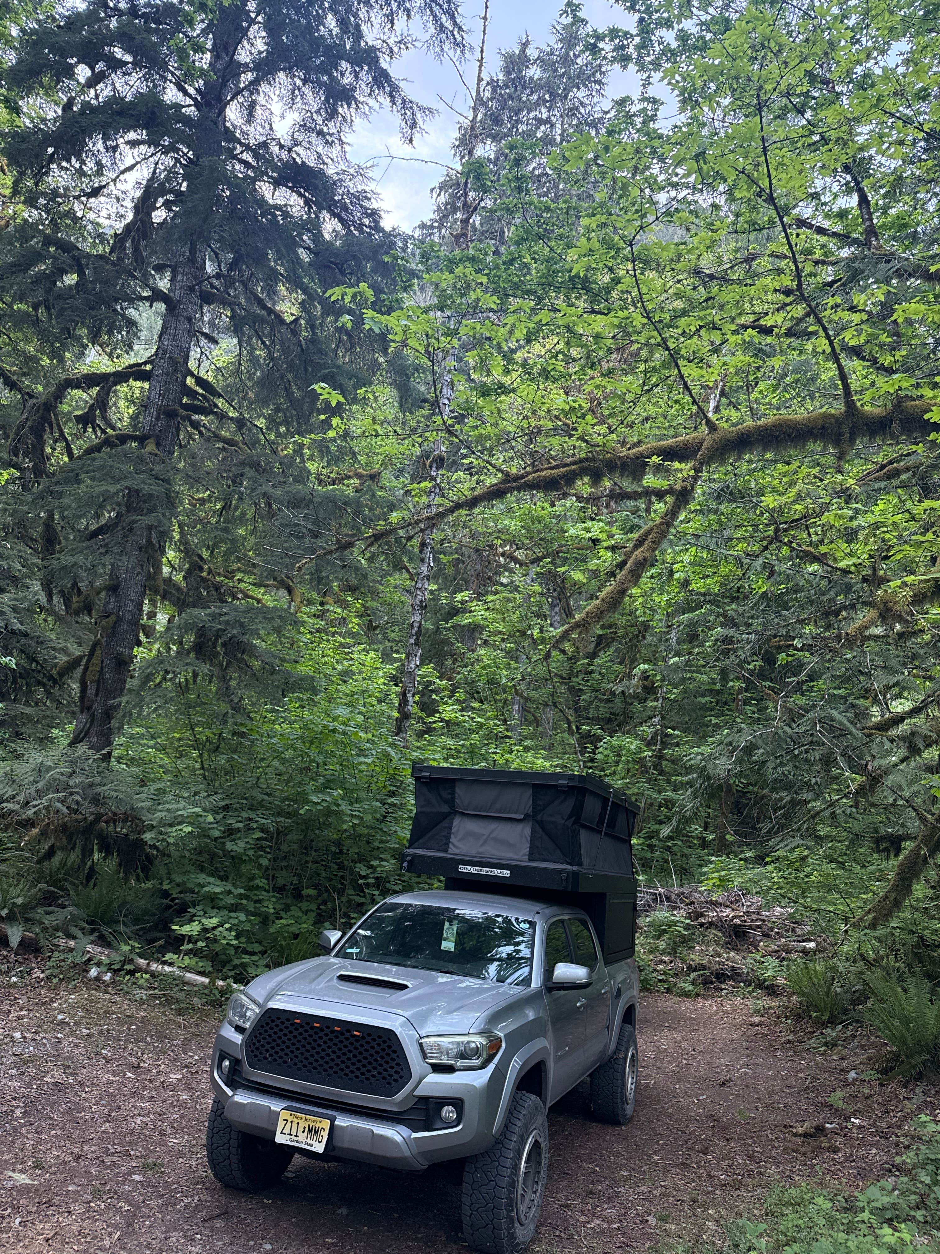 Camper-submitted photo at Baker lake camping near Maple Falls, WA