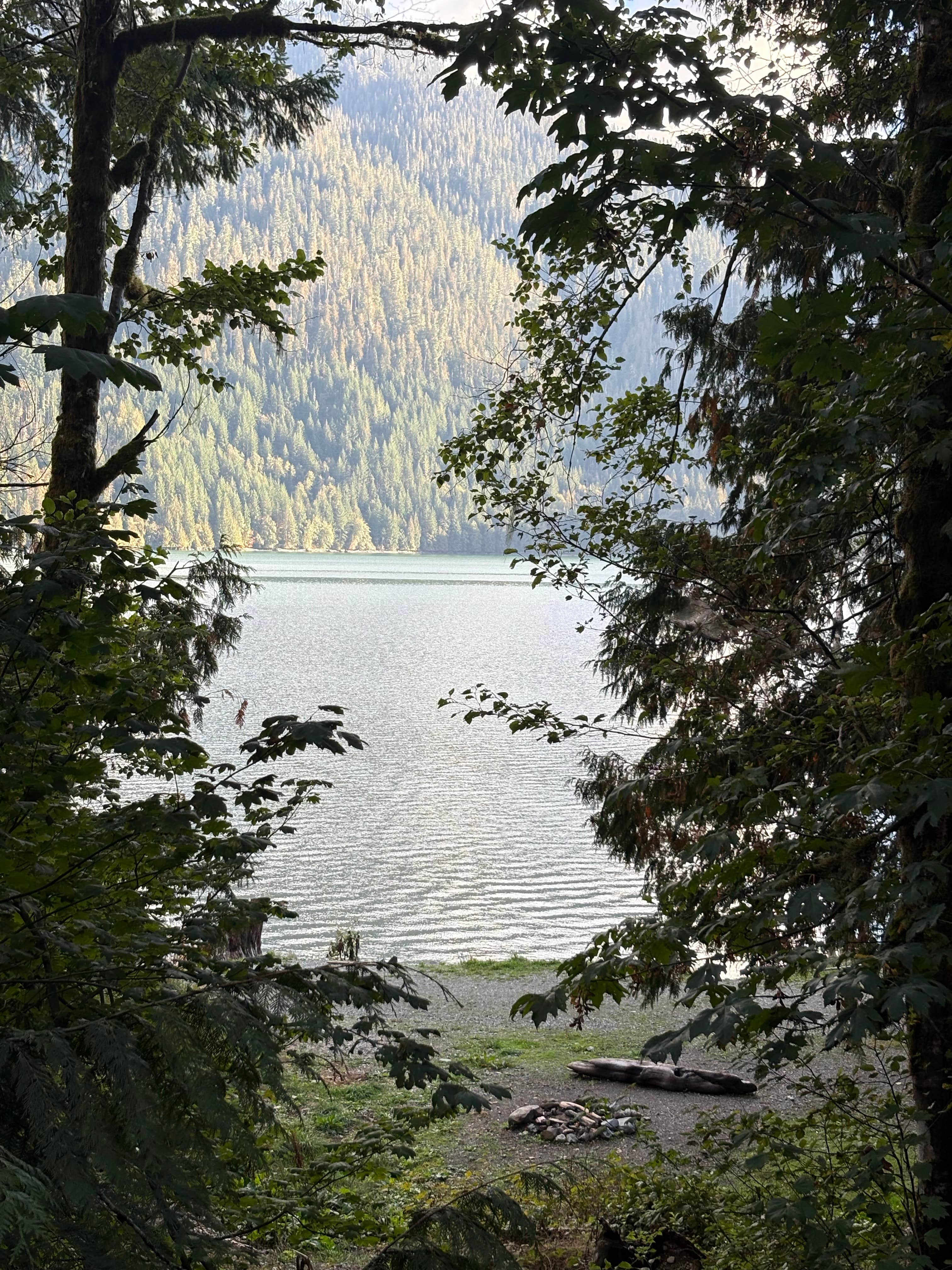 Baker Lake Road Dispersed Campsite