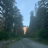 Review photo of Baker Lake Road Dispersed Campsite by Mimi N., June 17, 2024