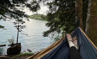 Ashley A.'s photo of tent camping at Baker Lake Road Dispersed Campsite near Concrete, WA