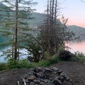 Review photo of Baker Lake Road Dispersed Campsite by Mimi N., June 17, 2024