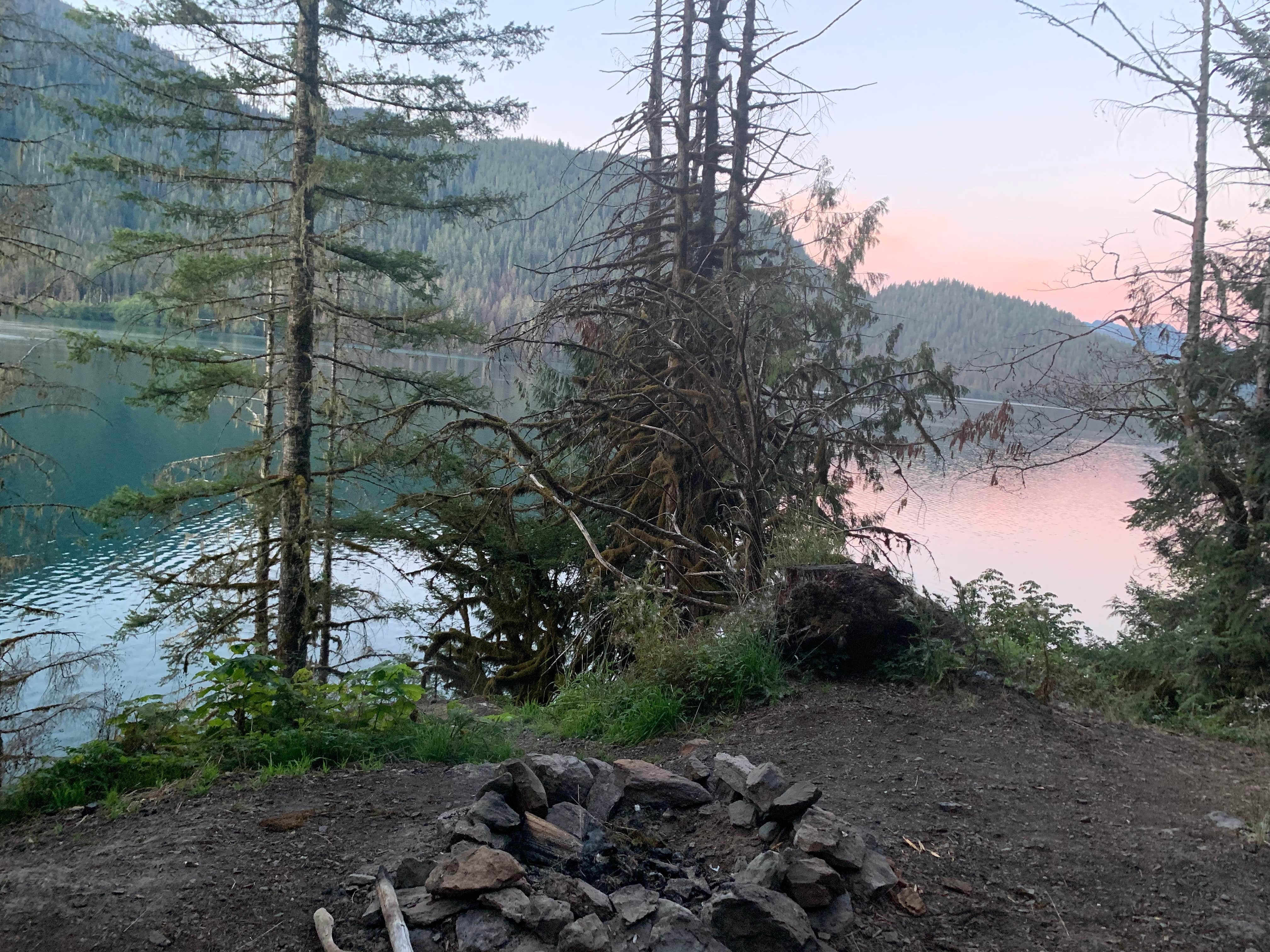 Camper submitted image from Baker Lake Road Dispersed Campsite - 3