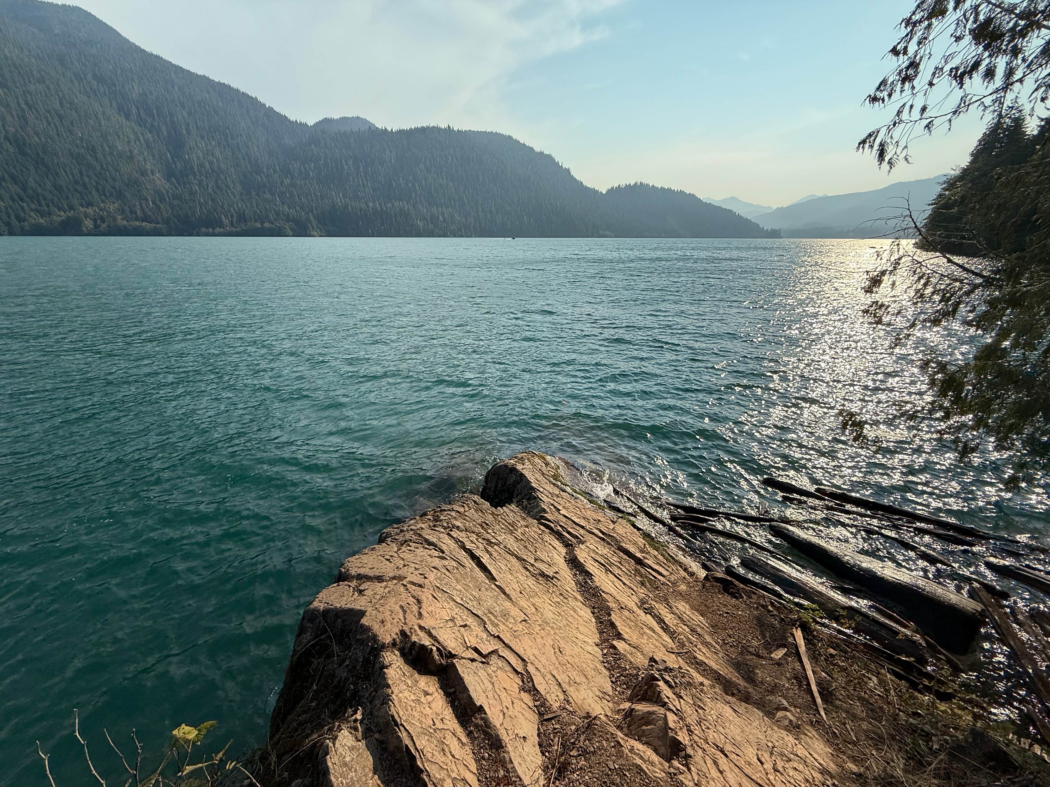 Baker Lake Road Dispersed Campsite