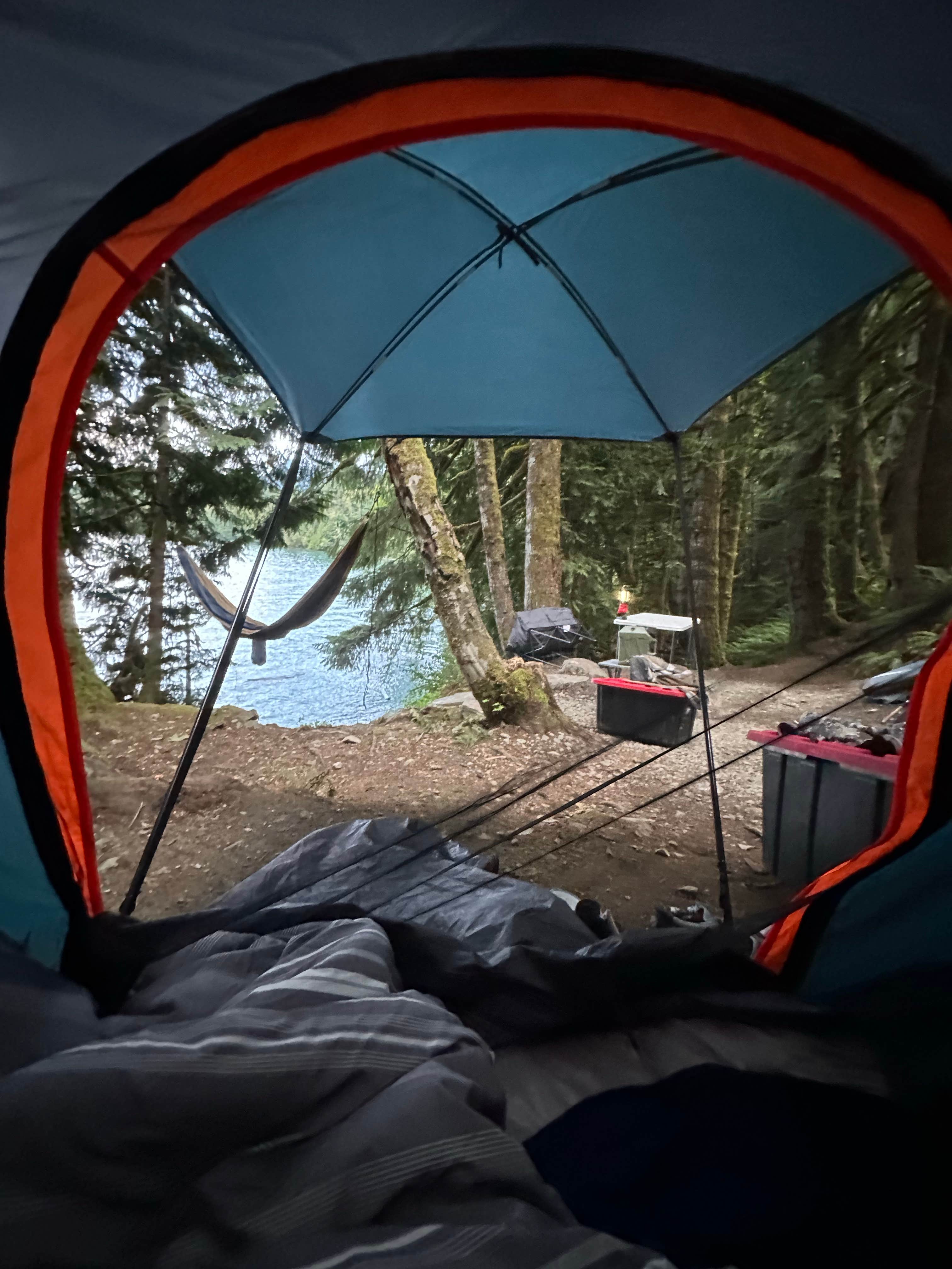 Camper-submitted photo at Baker Lake Road Dispersed Campsite near Lynden, WA
