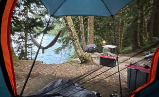 Ashley A.'s photo of tent camping at Baker Lake Road Dispersed Campsite near Concrete, WA