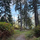 Review photo of Baker Lake Road Dispersed Campsite by Sarah S., October 3, 2025
