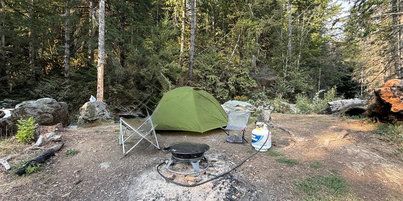 Camper submitted image from Baker Lake Road Dispersed Campsite