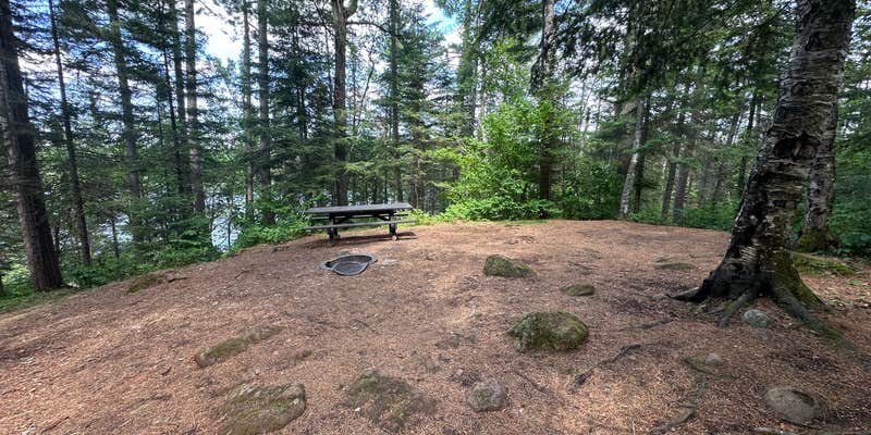 Camper submitted image from Baker Lake Rustic Campground